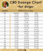 CBD Oil For Dogs | CBD Oil Dosage For Dogs