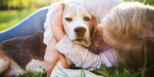 analogizes human caring for their anxious pet