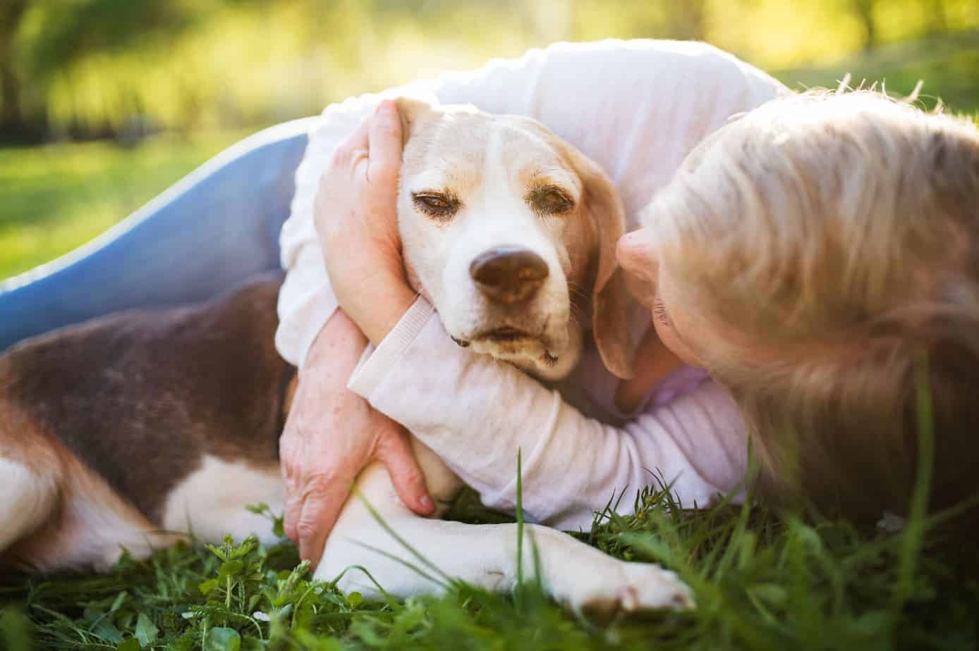 visualizes pet owner wondering about cbd oil dosage for their dog